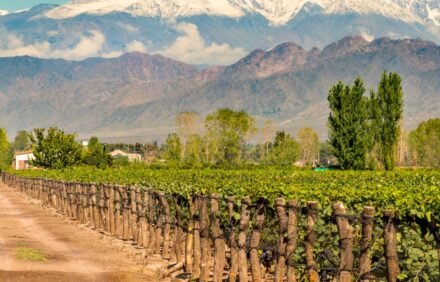 El Manzano Histórico: Naturaleza, Historia y Descanso en el Corazón del Valle de Uco
